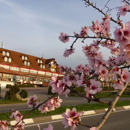 Land-gut-hotel Schweigener Hof Hotel