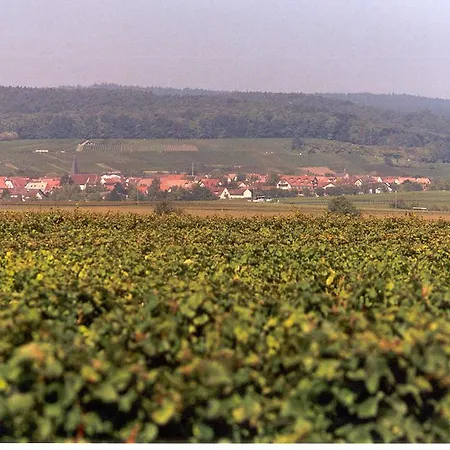 Land-gut-hotel Schweigener Hof Hotel 3*