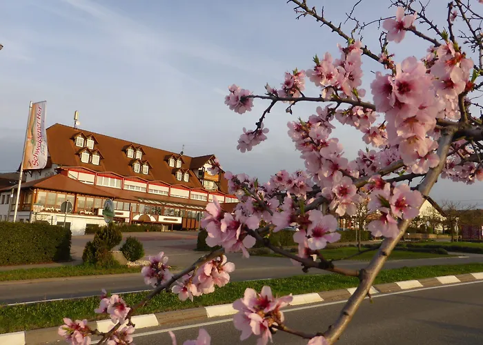 Land-gut-hotel Schweigener Hof ホテル