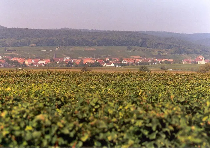 Land-gut-hotel Schweigener Hof ホテル 3*